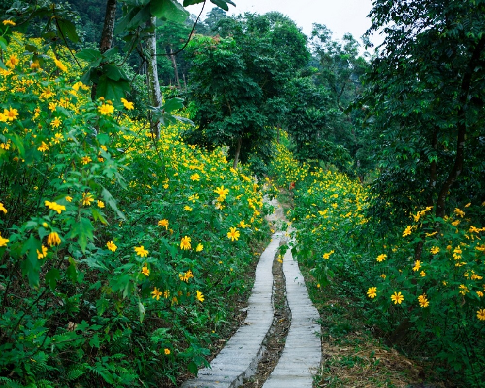 Ba Vi Day Trip from Hanoi